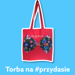nauczyciel polonijny