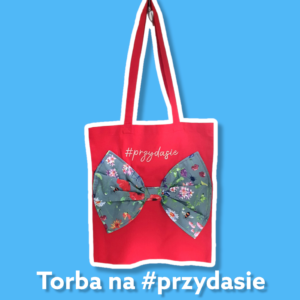 nauczyciel polonijny